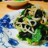 レンジで！もやしと小松菜の海苔和え